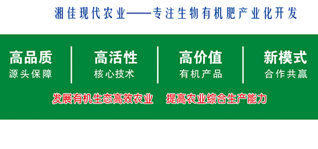 宣传册2